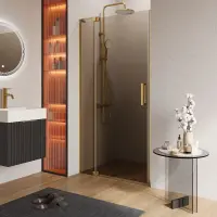 Душевая дверь Cezares SLIDER-B-1-100/110-BR-BORO, 100/110 см, стекло бронза, профиль брашированное золото