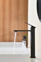 Высокий смеситель для раковины от бренда Ganzer из латуни GZ07112-C черный