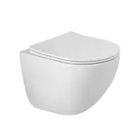 Подвесной унитаз BelBagno Amanda-Tor BB051CH-TOR-FC/SC, безободковый, смыв Tornado, сиденье микролифт, белый