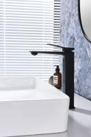 Смеситель однорычажный для раковины-чаши Ganzer GZ05112-C черный