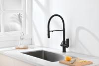 Смеситель для кухни под фильтр с гибким изливом из латуни Ganzer GZ07127-С черный