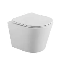 Подвесной безободковый унитаз BelBagno Flay-R BB053CHR/SC, сиденье микролифт, белый