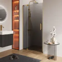 Душевая дверь Cezares SLIDER-B-1-100/110-GRIGIO-BORO, 100/110 см, стекло серое, профиль брашированное золото