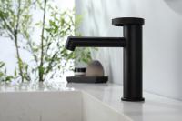 Смеситель для раковины с двумя съёмными ручками Ganzer GZ19111-C черный