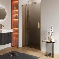 Душевая дверь Cezares SLIDER-B-1-90/100-BR-BORO, 90/100 см, стекло бронза, профиль брашированное золото